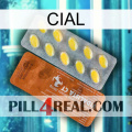 Cial 42